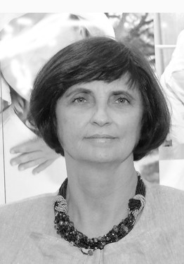 Author's photos