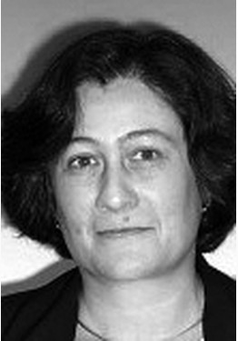 Author's photos