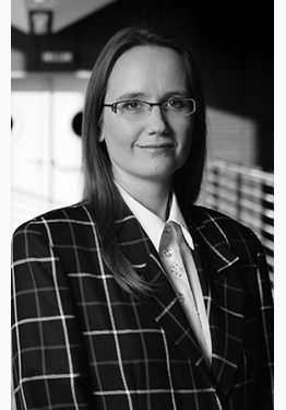 Author's photos