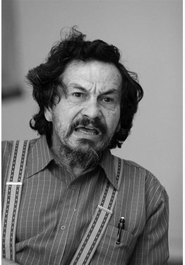 Author's photos