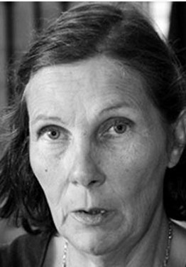 Author's photos