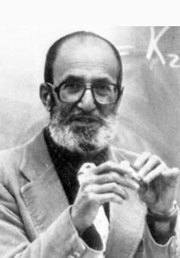 Author's photos