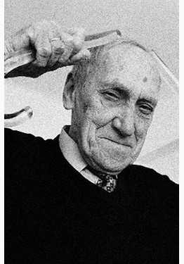 Author's photos