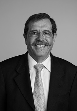 Author's photos