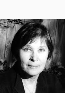 Author's photos