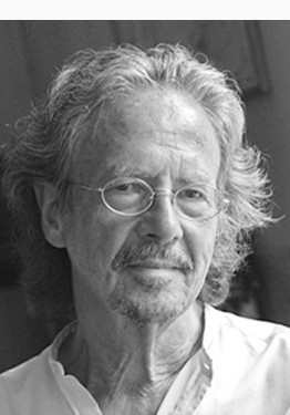 Author's photos