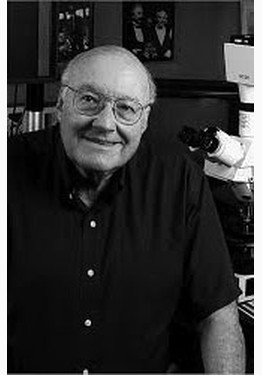 Author's photos