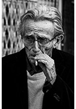 Author's photos