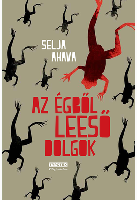 Selja Ahava: Az égből leeső dolgok