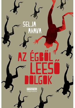 Selja Ahava: Az égből leeső dolgok