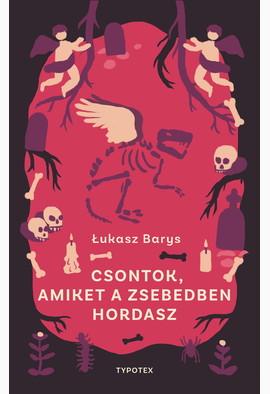 Łukasz Barys: Csontok, amiket a zsebedben hordasz