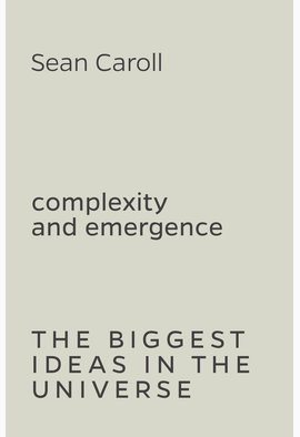 Sean Carroll: Complexity and Emergence