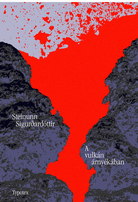 Steinunn Sigurðardóttir: A vulkán árnyékában