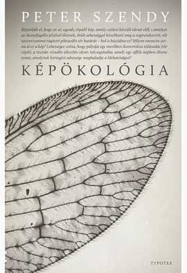Szendy Peter: Képökológia