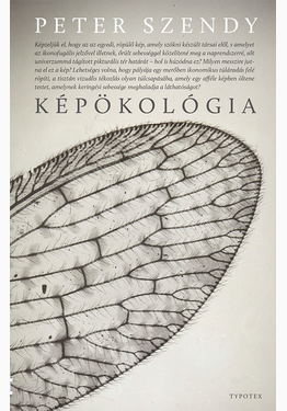Szendy Peter: Képökológia